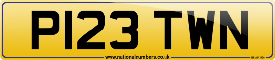 P123 TWN