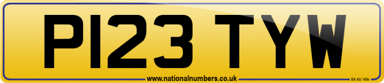 P123 TYW