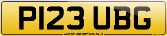 P123 UBG