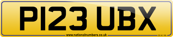 P123 UBX