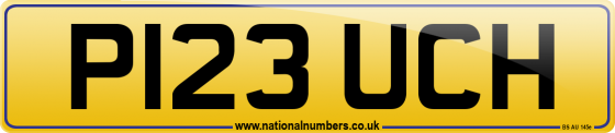 P123 UCH