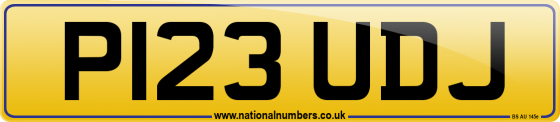 P123 UDJ
