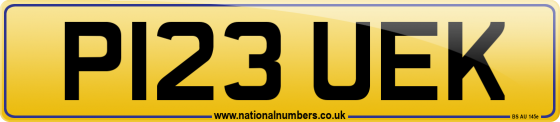 P123 UEK