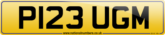 P123 UGM
