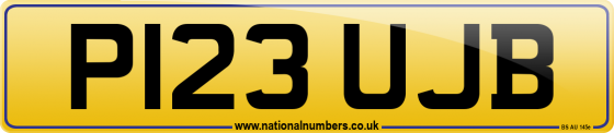 P123 UJB