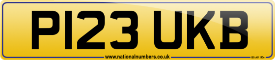 P123 UKB