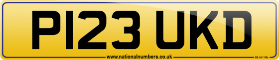 P123 UKD