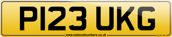 P123 UKG