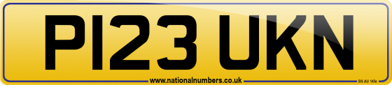 P123 UKN