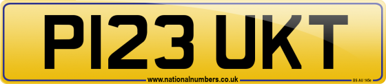 P123 UKT