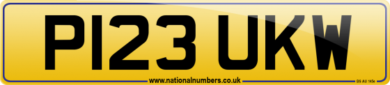 P123 UKW