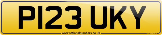 P123 UKY