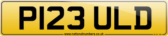 P123 ULD