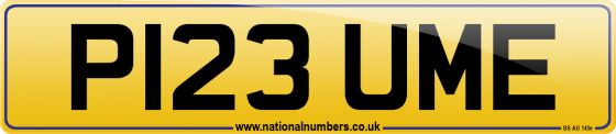 P123 UME
