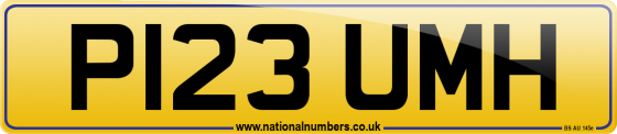 P123 UMH