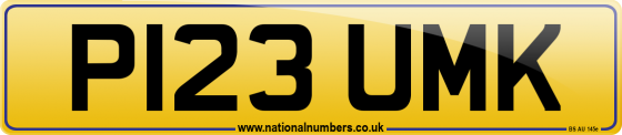 P123 UMK