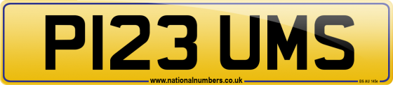 P123 UMS