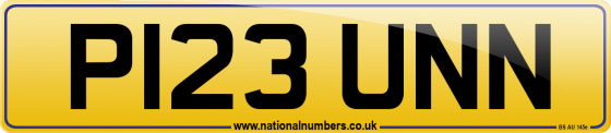P123 UNN
