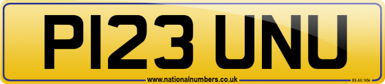 P123 UNU