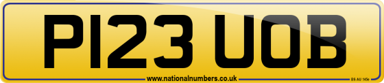 P123 UOB