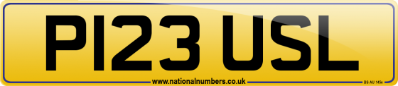 P123 USL