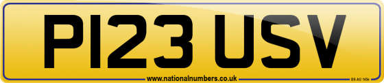 P123 USV