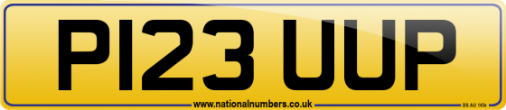 P123 UUP