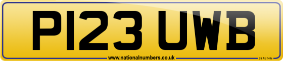 P123 UWB