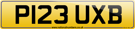 P123 UXB