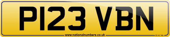 P123 VBN