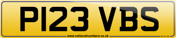 P123 VBS