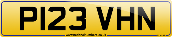 P123 VHN