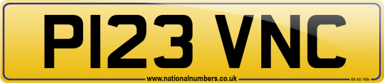 P123 VNC