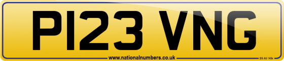 P123 VNG