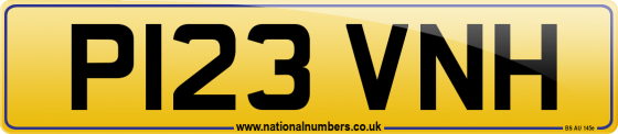P123 VNH