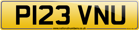 P123 VNU