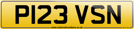 P123 VSN