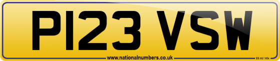 P123 VSW