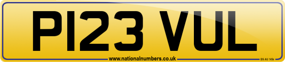P123 VUL