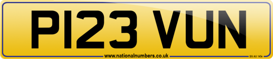 P123 VUN