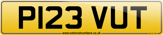P123 VUT