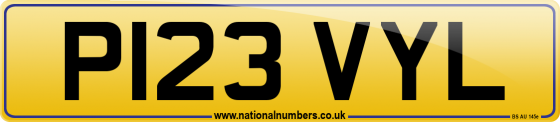P123 VYL