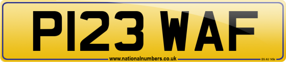 P123 WAF