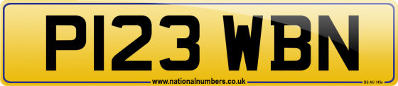P123 WBN