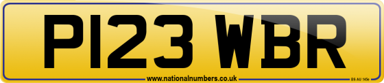 P123 WBR