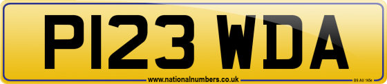 P123 WDA