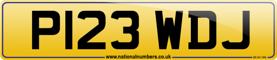 P123 WDJ