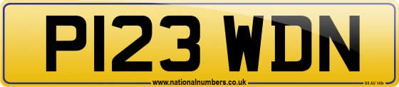 P123 WDN