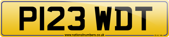 P123 WDT