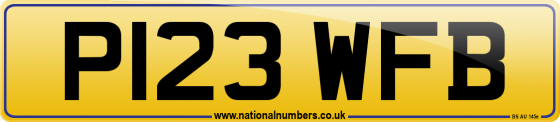 P123 WFB